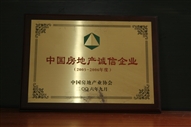 B1、中國房地產(chǎn)誠信企業(yè)2005—2006年